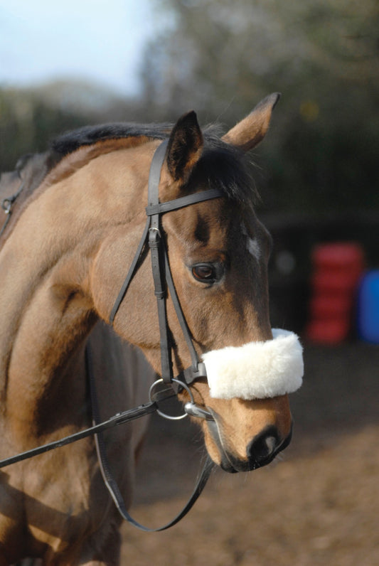 Anti-Rub Noseband Cover
