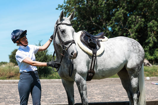 Why We Love Wool Saddle Pads