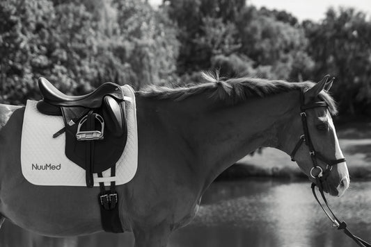 Saddle Pad Logo Rules for Competitions UK & FEI