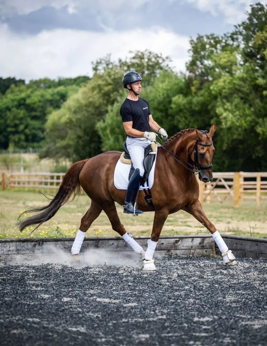 Dressage