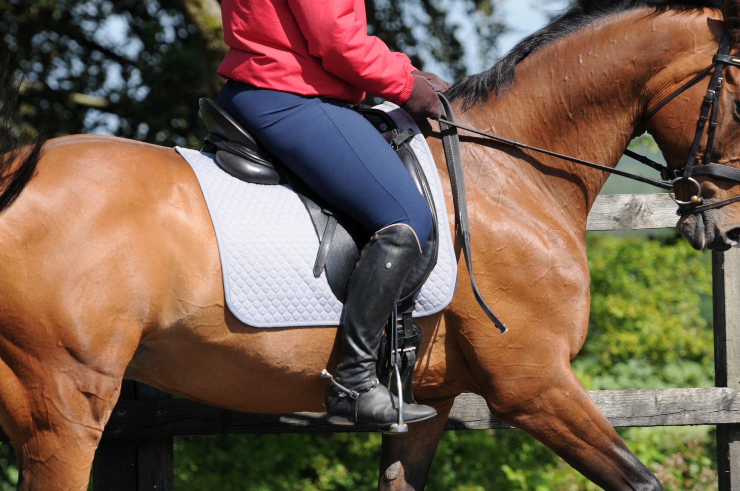 Saddle Pads