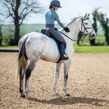Dressage Numnahs