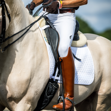 Dressage Half Pads