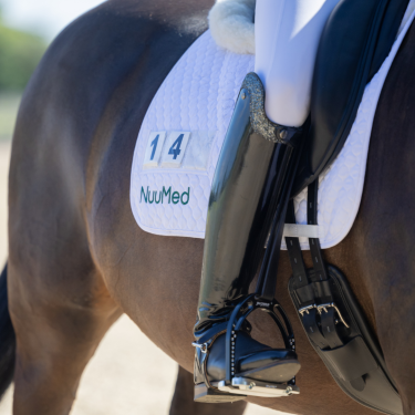 Competition Saddle Pads
