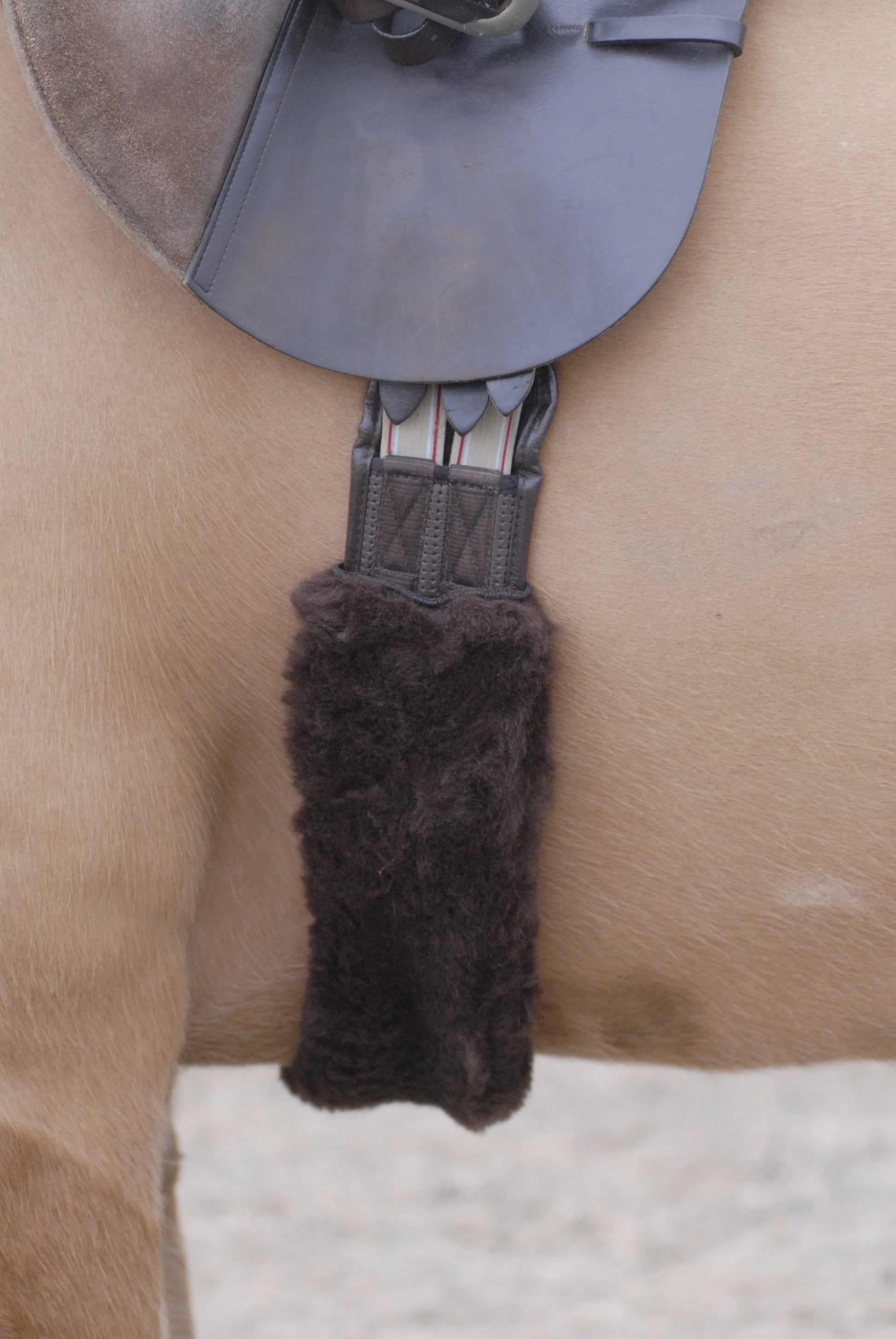 Close up of British wool girth sleeve in brown colour, shown on horse.